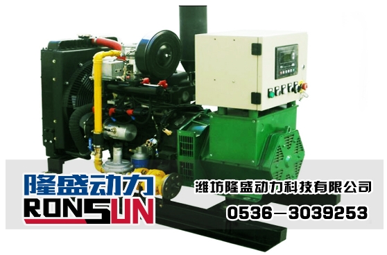 10KW沼氣發(fā)電機(jī)組