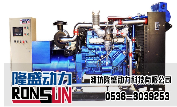 200KW 沼氣發(fā)電機(jī)組